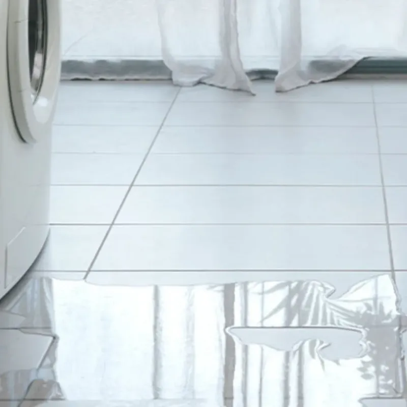 Appliance Leak Cleanup in Riverside, IL